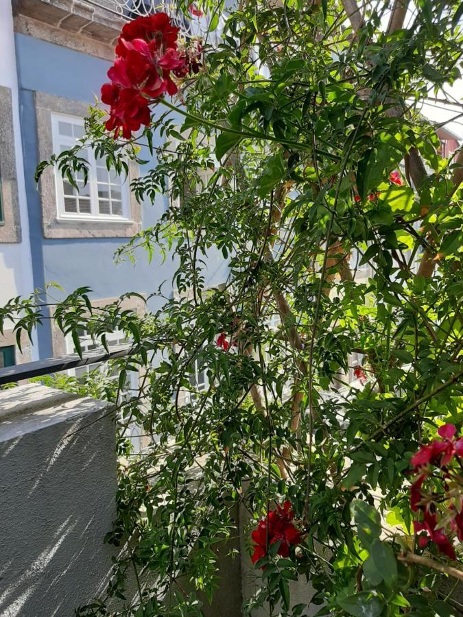 Amazing City Center Apartment Porto Villa Loios Eksteriør bilde